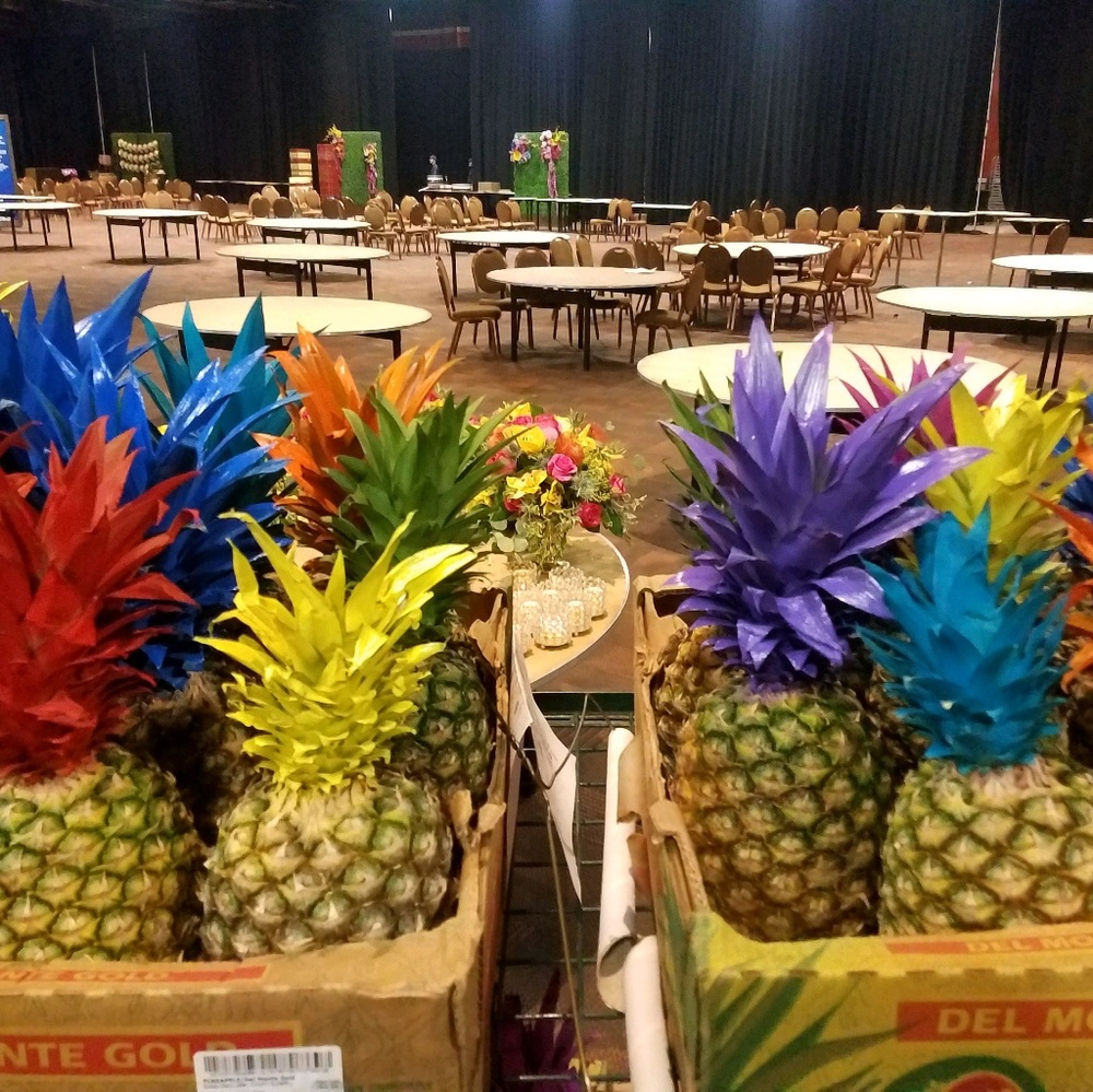 Meet your Posher, Troy